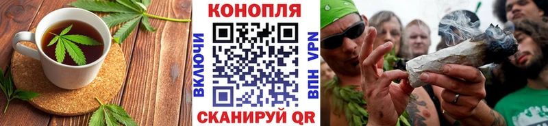 хочу наркоту  Эртиль  Canna-Cookies марихуана 