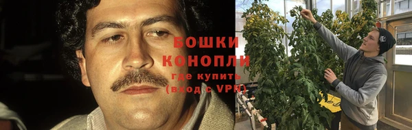 трава Нефтекумск