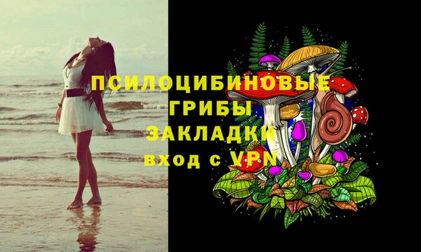 дурь Наволоки