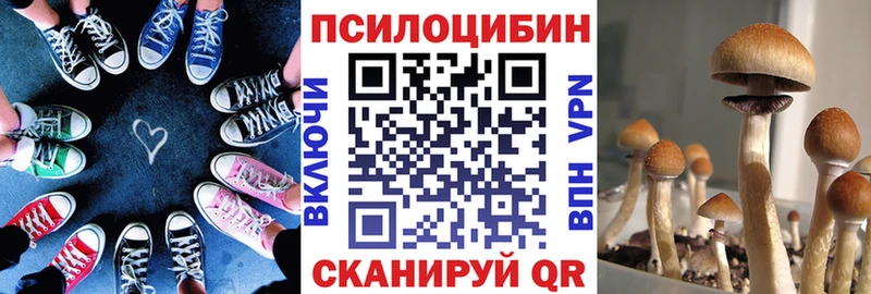 Галлюциногенные грибы Psilocybine cubensis  продажа наркотиков  Эртиль 